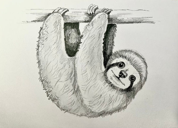 Wildlife Sketching & Facts