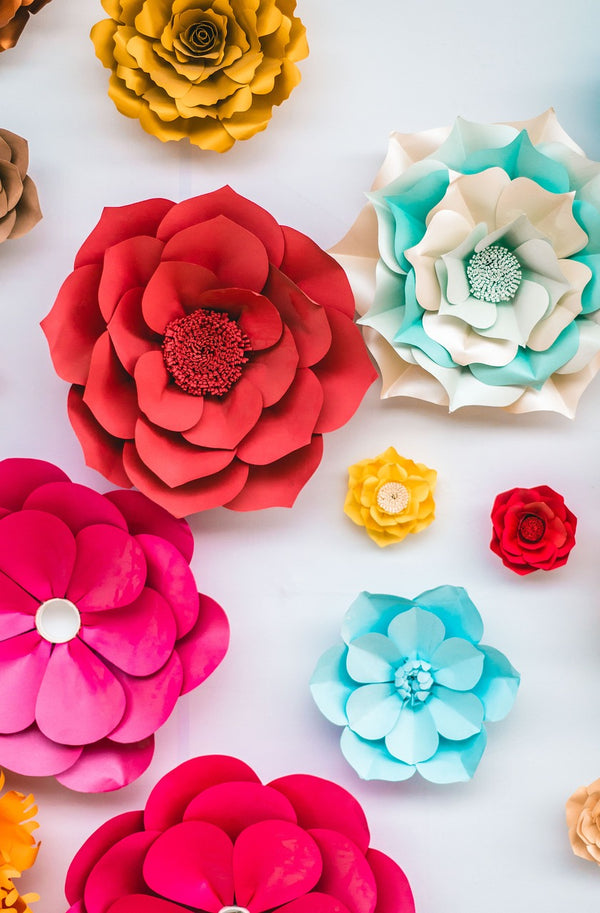 3D Paper Crafts - Flex Series