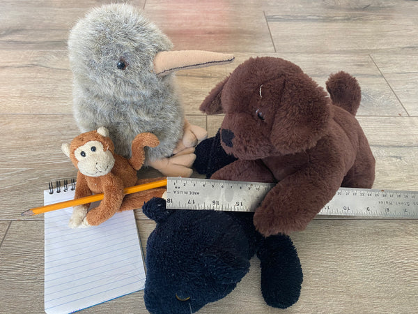 Stuffy Field Guide