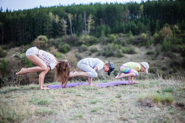 Kids Yoga: Animal Asanas - Flex Series