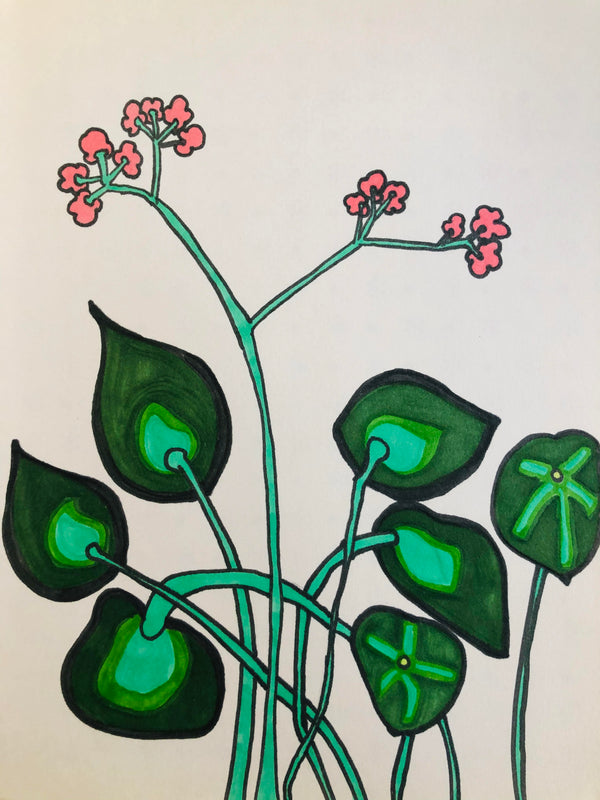 Nature Sketchbook Series 11-14