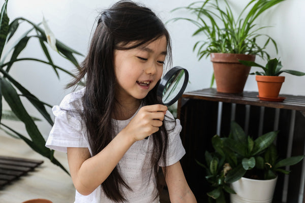 Indoor Scavenger Hunt