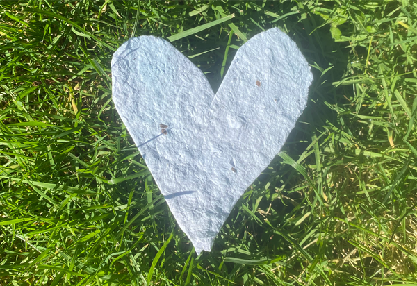 Celebrate Earth Day!