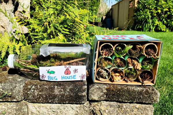 Build a Bug House
