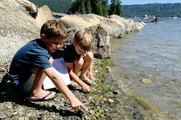 Beach Scavenger Hunt