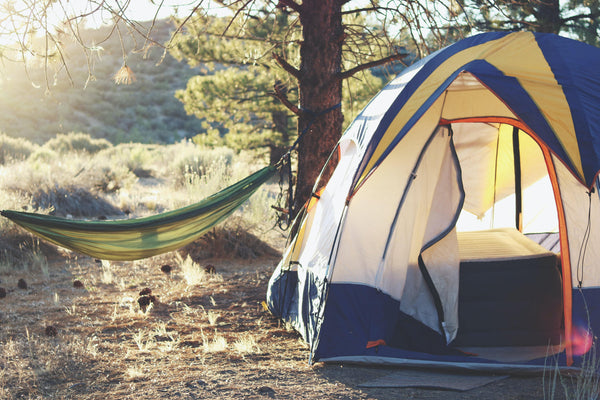 Camping Scavenger Hunt