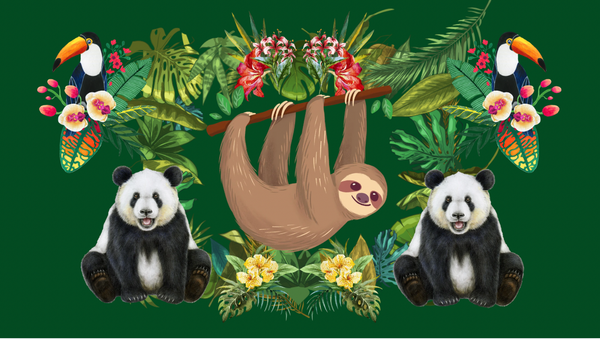Discover & Draw: Rainforest Animals