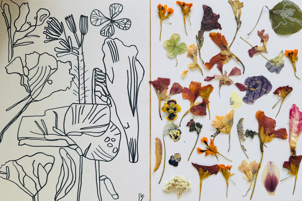 Nature Sketchbook: 11-14