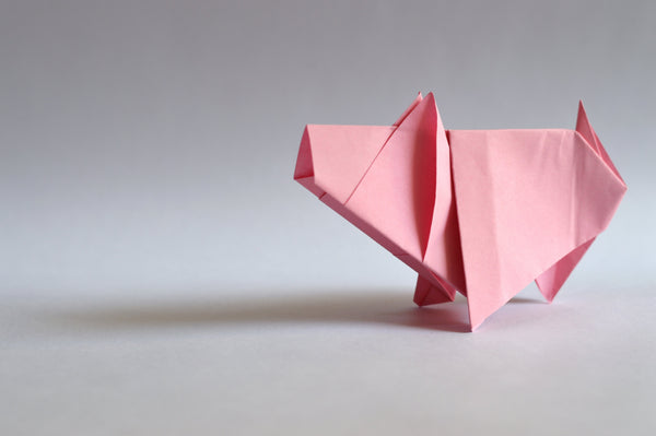 Origami Animal Hour