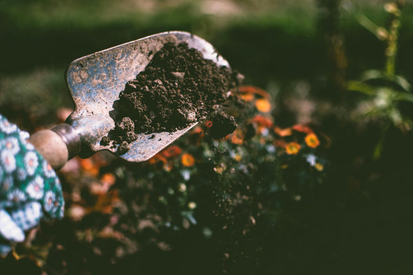 Lets Dig into...Gardening!