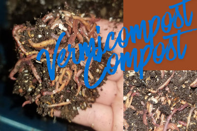 Soil Science: Experimenting with Compost