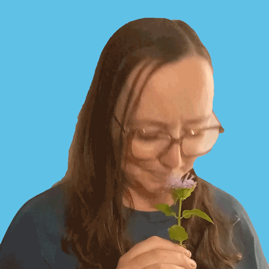 preload gif