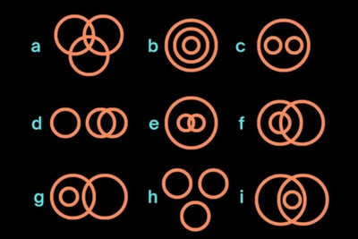 Venn Quest :Circle Solvers