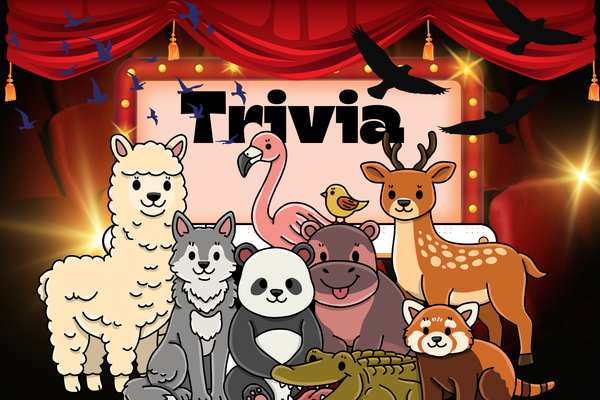 Trivia fun - Animal facts
