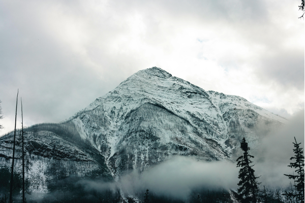 Soundscapes of Beautiful BC
