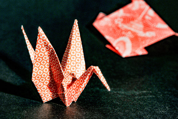 Origami Club: 11-14