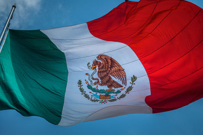 ¡Viva México! Art Fiesta