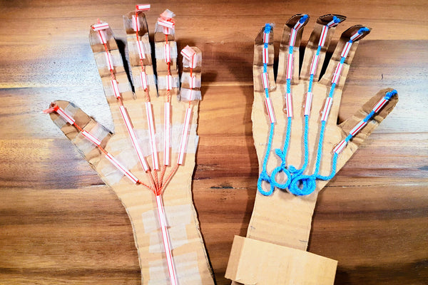 Build a Robotic Hand